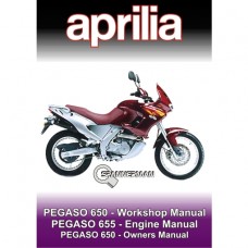 Aprilia - Pegaso 650 - 1997 Workshop Manual